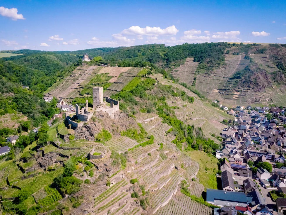 Die sonnigen Schieferterassen der Mosel